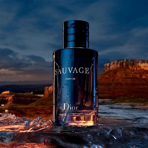 cheap version of dior sauvage|dior sauvage lowest price.